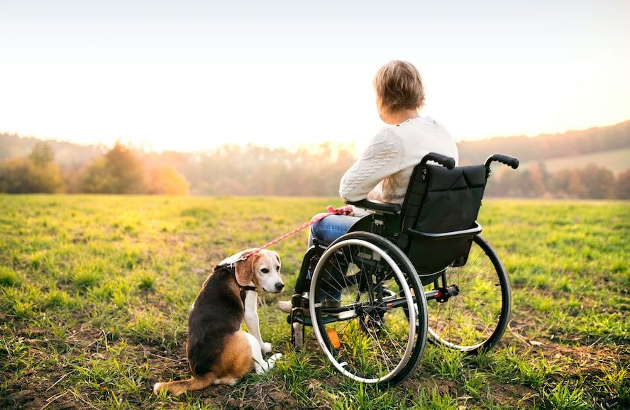 San Diego Zoo Wheelchair Rental Service