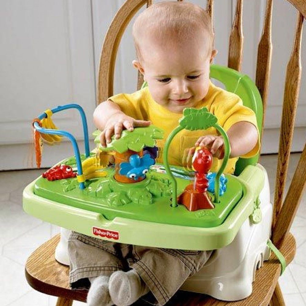 Booster Feeding Seat rentals in Lahaina - Cloud of Goods