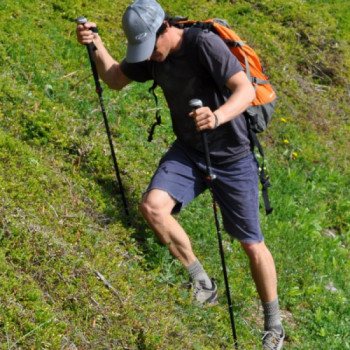 backpacking trekking pole